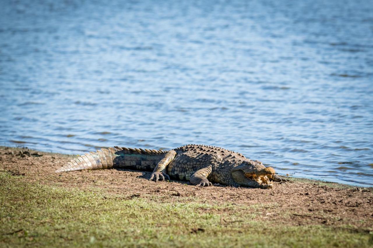 Nkuhlu Tented Camp Skukuza Esterno foto