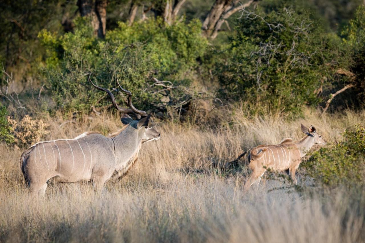 Nkuhlu Tented Camp Skukuza Esterno foto
